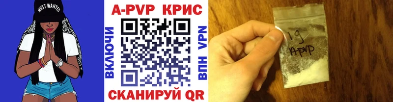 omg вход  Зубцов  APVP СК КРИС 