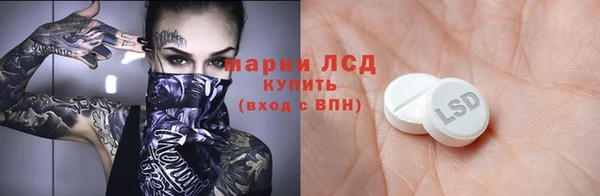 дживик Верхний Тагил