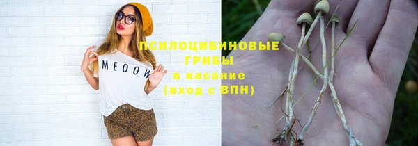 дживик Верхний Тагил