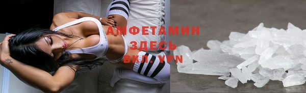 дживик Верхний Тагил