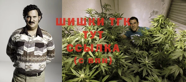 дживик Верхний Тагил