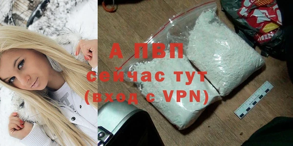 дживик Верхний Тагил