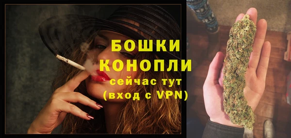 spice Волосово