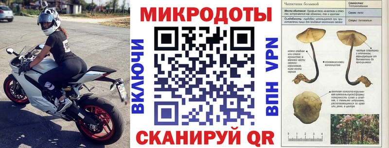 купить закладку  Зубцов  Псилоцибиновые грибы мухоморы 
