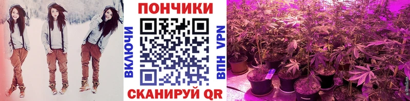 дарнет шоп Зубцов Каннабис индика